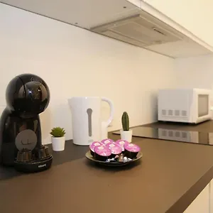 Appartement Design équipé - 2p - 17 France